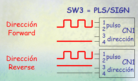 P + D